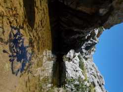 Impacts of UVB provision on serum vitamin D3, pigmentation, growth rates and total body mineral content in Mallorcan midwife toad larvae (*Alytes* *muletensis*). Journal of Zoo and Aquarium Research 8: 37-44.